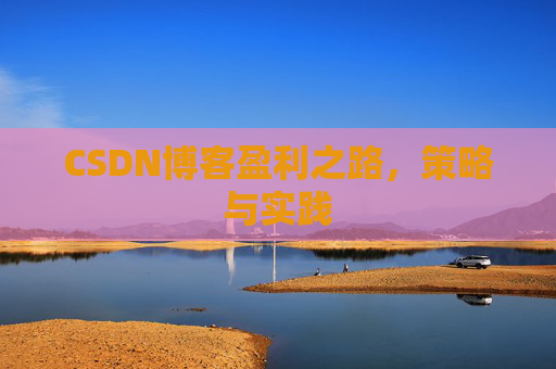 CSDN博客盈利之路，策略与实践